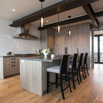 Ski In Ski Out Contemporary home