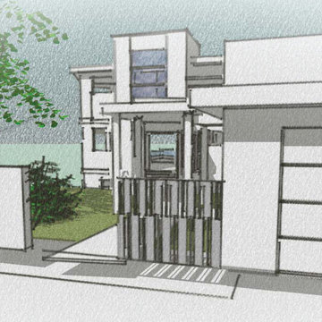 Green Roof House