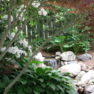 Water feature through Japanese maple, mountain laurel, and hostas
