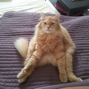 Audrey Carnoy's photo