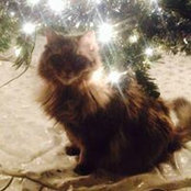 RaeLyn Schenk's photo