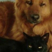 Sandi Kuhn's photo