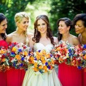Trisha Hilberry's photo