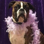 Karey Ritchie Wolfrey's photo