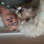 Bruce O'Donnell's photo