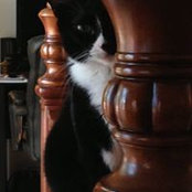 Melanie Smith's photo