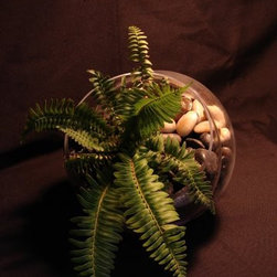 Polystichum munitum (Western Sword Fern) - Mixed Media Art