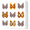 Imagination - Butterfly Group 1 Stretched Wall Art, Brown/Orange