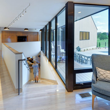 Black and Tan House