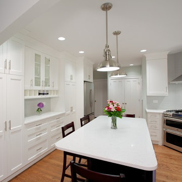 Revisions Equal Incredible Additions - Western Springs