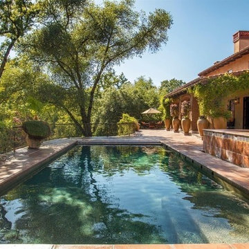 Tuscan - Kaufmann Residence