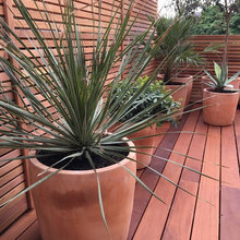 OG Terrace
