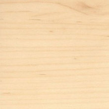 Taryn's ideas
