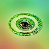 Stuart Gall's photo