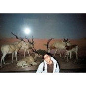 Jason Grobstein's photo