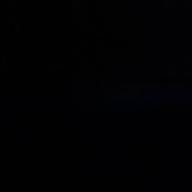 Brad Harvey's photo