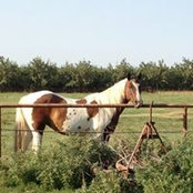 Foto von Joanne Atkinson Atkisson