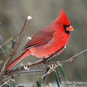 Diane Dalo's photo