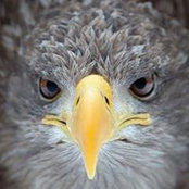 Brandon Wilson's photo
