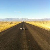 Ben Cimmino's photo