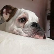 Foto von Ines Stübe