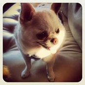 Tony Chen's photo