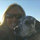Lisa Johnson Threlkeld