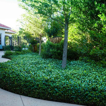 Landscaping Elegance