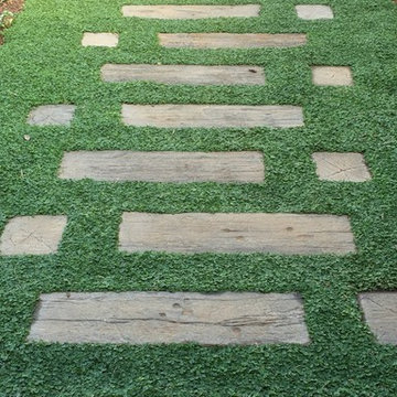 Little Village Early Learning - used our unique Plant Tiles of Dichondra repens