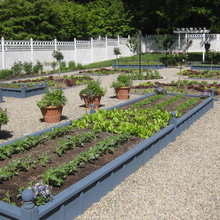 Vegetable garden