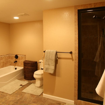 Castle Rock Basement Finish