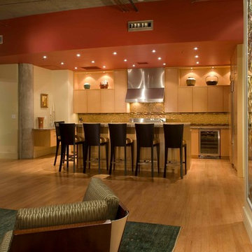 Titanium Lofts