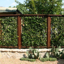 Living Wall