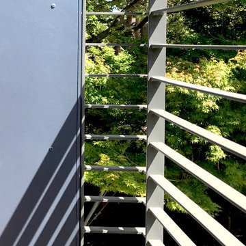 Shou Sugi Ban House