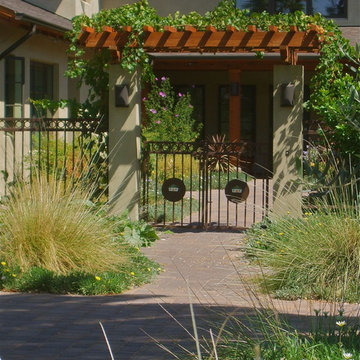 Downtown Mediterranean Garden