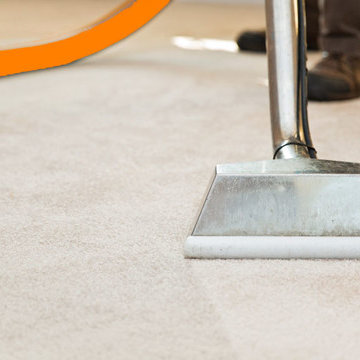 Carpet Cleaners Auckland