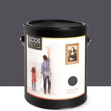 Outdoor/Indoor paint