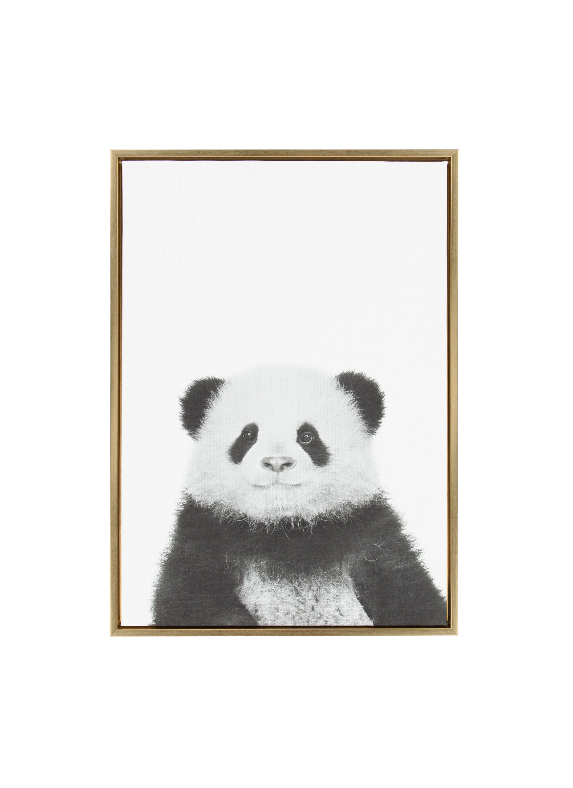 Sylvie Panda Portrait Framed Canvas Wall Art by Simon Te Tai, Gold ...