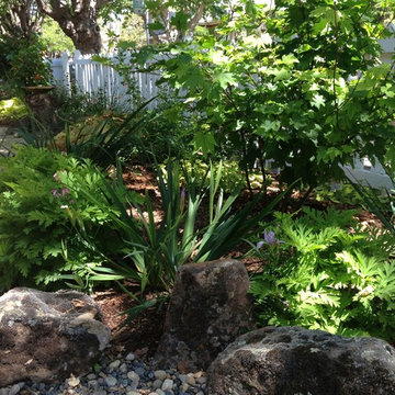 Rockridge shade garden
