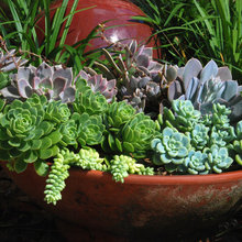 margaret_kirkpatrick57's ideas