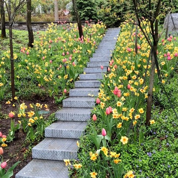 Spring Bulb Designs