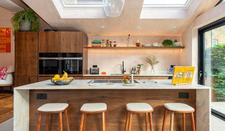 How Optimistic are Pros on Houzz About 2023?