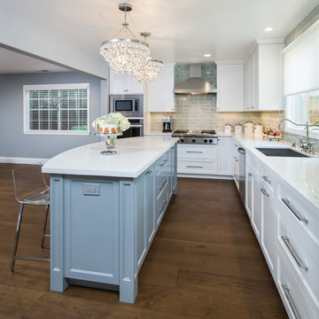 Manhattan Beach Dream Kitchen