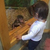 Kristen Joy's photo
