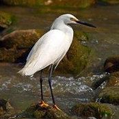 Judy Talbot's photo