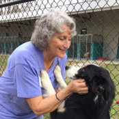 Mary Calabro's photo