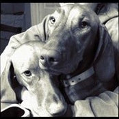 Melina Black's photo