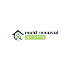 Montgomery County Mold Removal Solutions