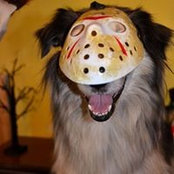 Sonya Reagle's photo