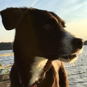 Norma Bryant's photo
